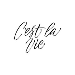 C'est La Vie - This is Life - calligraphic vector quote.