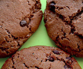 Tasty chocolate chip cookies shaded background. Round cookies with chocolate chip close up