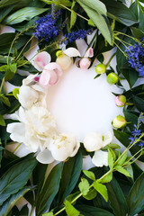 Peony flowers and leaves. Undiscovered buds and flowers on a white background in the Studio.