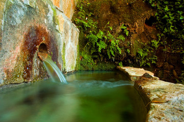 Fountain spring with plants in the mountain