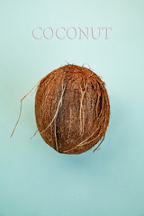 coconut on a blue background. Close up, top view