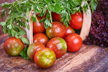 Tomatoes and salad in an overturned basket