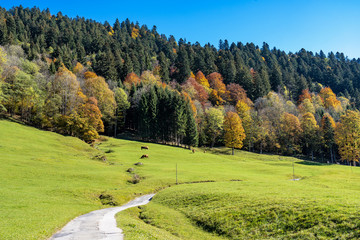 Deutschland - Bayern - Landschaft zwischen Garmisch und Wamberg
