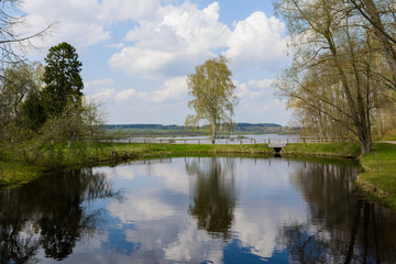 Russian landscape with birch and lake