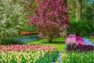 Spring in Netherlands