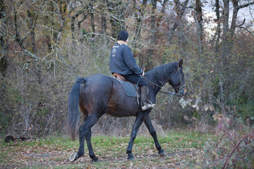 horse riding