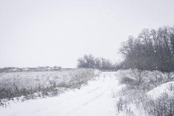 road in winter