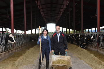 couple farmer with cows