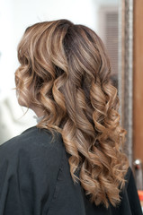 Naklejka premium hairstyle female curls on dark hair