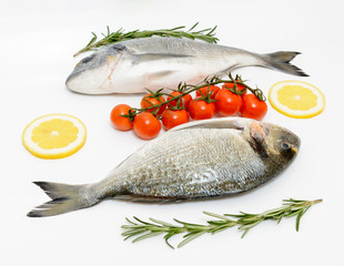 Two fresh dorada fishes with tomatoes, lemon and rosemary on white background