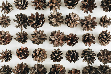 Flat lay, top view of pine cones. Winter pattern.