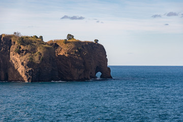 Elephants in the Water