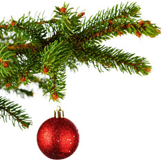 Obraz na płótnie Canvas Christmas tree branch with ball