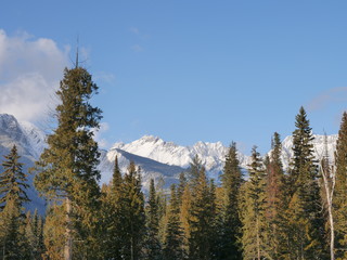 winter images from the Blaeberry Valley in British Columbia