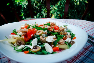 Organic vegetable salad with canned tuna on white plate.