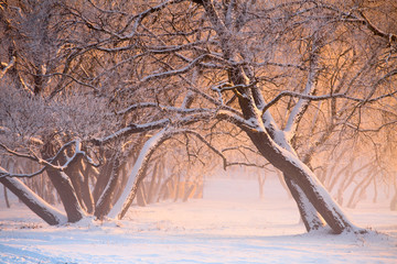 City winter landscape
