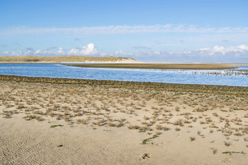 The Slufter in the Dunes of Texel National Park in the Netherlands