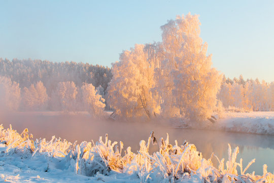 Fototapeta Colorful winter landscape