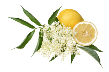 Elderflower with lemon and leaves isolated