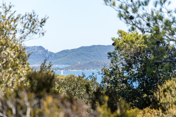 Seacoast in summer of the island of Porquerolles