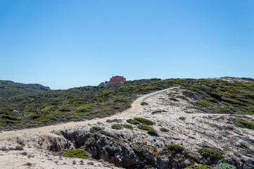 Seacoast in summer of the island of Porquerolles