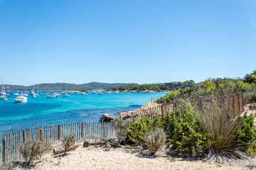 Seacoast in summer of the island of Porquerolles