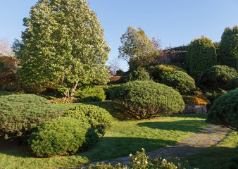 Cottage garden with green lawn, trees and trimmed bushes.