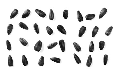 set sunflower seeds pile isolated on white background, top view