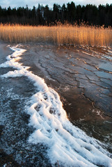 Frozen lakeshore in winter sunlight