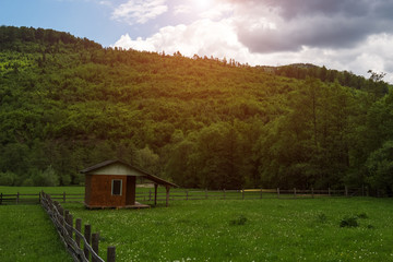 Landscape of fence in green summer forest
