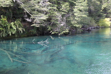 Ruca Malen, Siete Lagos, Neuquen, Patagonia Argentina