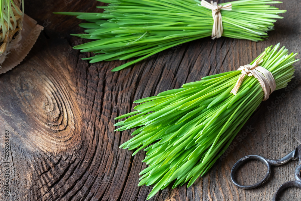 Wall mural Fresh barley grass on a rustic background with copy space