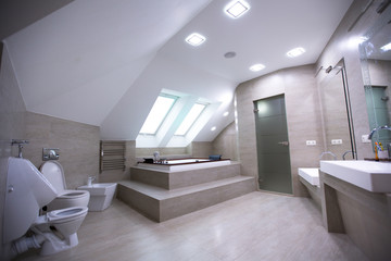 interior of large bathroom with Jacuzzi
