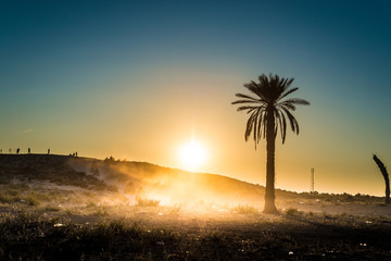 Obraz premium Desert activities in Tunisia