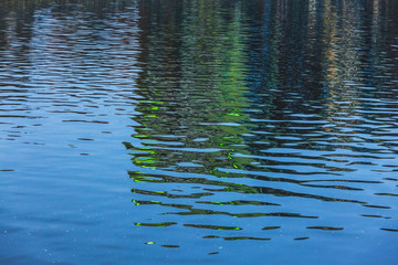 abstract curves lines reflected in water texture