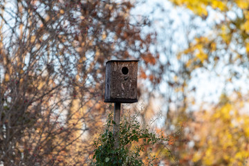single nest box on a wooden stand