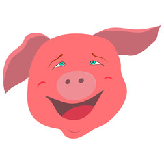 Pig's funny face