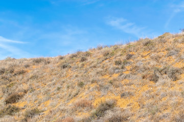 Fall hillsides covered in dry grass with blue sky for copy text