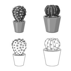 Vector illustration of cactus and pot icon. Set of cactus and cacti stock symbol for web.