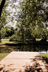 summer, rest, country farm, greens