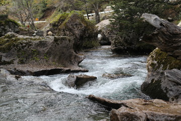 Falkner, Siete Lagos, Neuquen, Patagonia Argentina