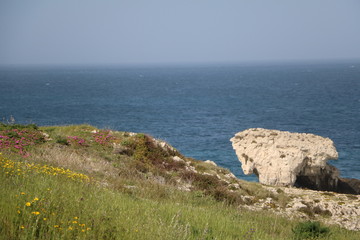 Blooming coastal landscape in Syracuse in spring at the Mediterranean Sea, Sicily Italy
