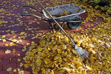 Laubarbeiten im Garten