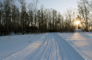 Fototapeta na wymiar Winter landscape - frosty trees in snowy forest. Road in a wonderful winter forest