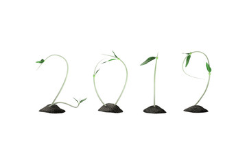 2019 plants growth background