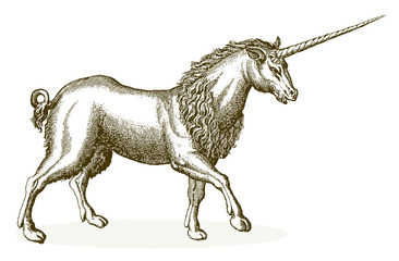 Walking unicorn isolated on white background. Illustration after antique engraving from 17th century © M
