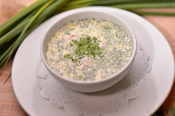 Okroshka - Russian Cold vegetable Soup. on the plate