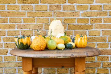 Still life of yellow, white and green gourds in different shapes on a wooden tabletop in front of a...
