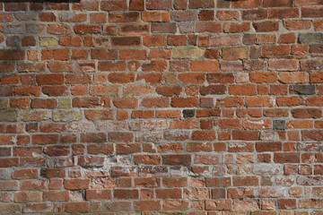 Brick Texture Background