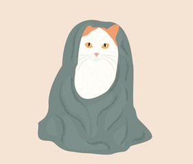 Cartoon cute winter cat in blanket, for pet shop, store plaid. Design concept kids, winter holidays
